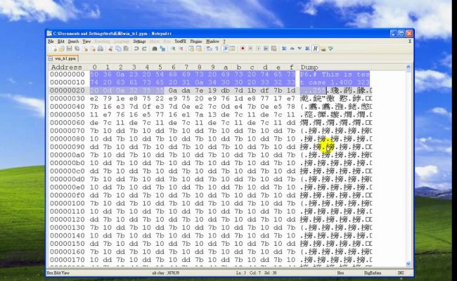 Melakukan Editing Binary Code Dengan Notepad++