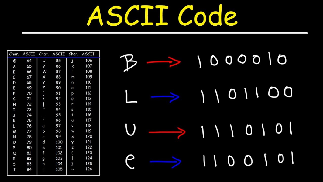 Komputer Dalam Sistem Bilangan Biner Dan Apa Fungsi Binary Coding